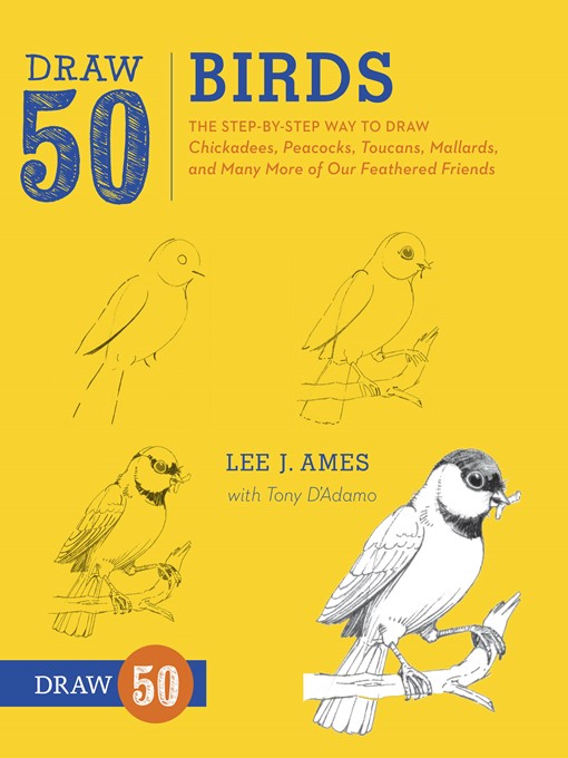 Cover image for Draw 50 Birds